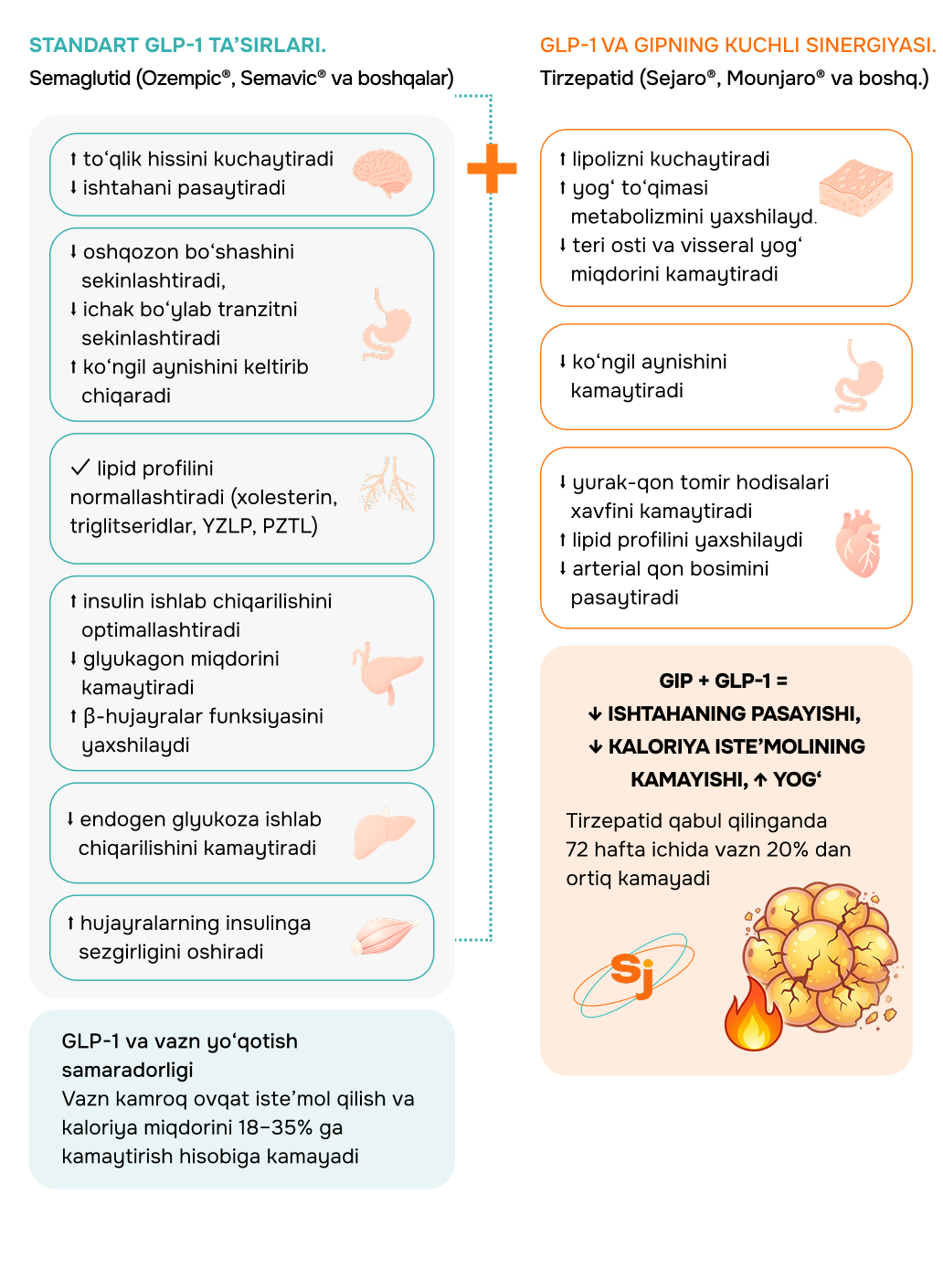 STANDART GLP-1 TA’SIRLARI vs GLP-1 VA GIPning KUCHLI SINERGIYASI