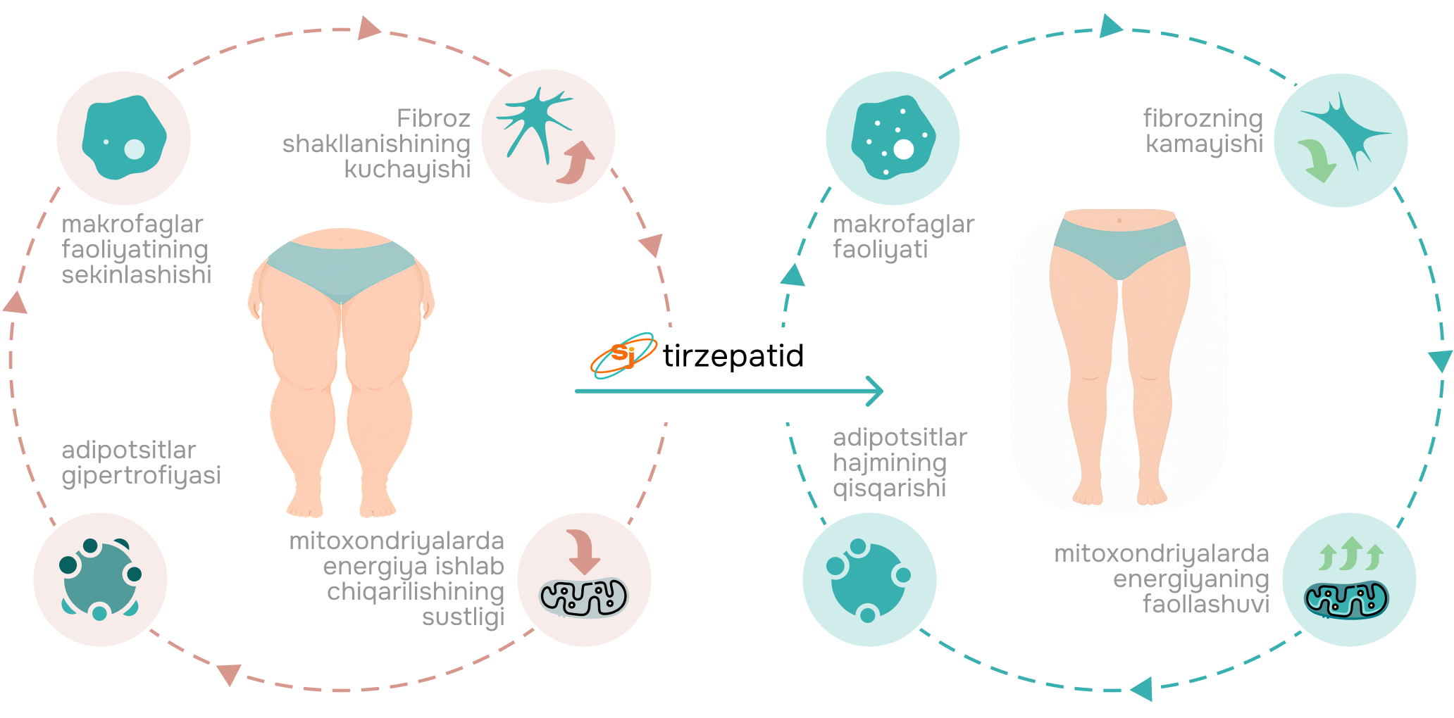 Tirzepatid targ'ib qiladi